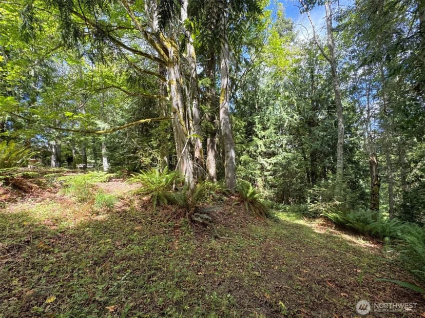 Property photo for 1703 S Golf Course Road, Port Angeles photo 38