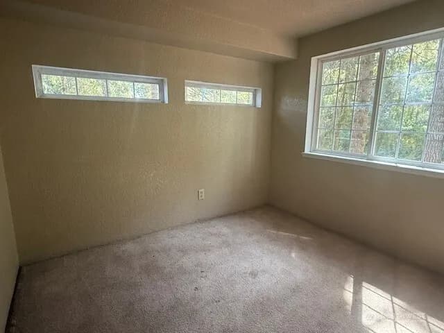 Property photo for 21 Se Shadowood Boulevard, Shelton photo 21