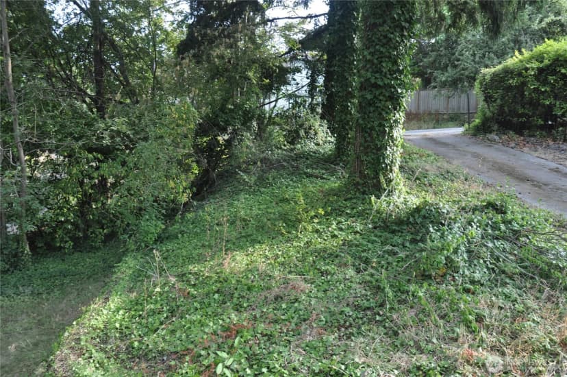 Property photo for 1940 Sw Dawson Street, Seattle photo 4