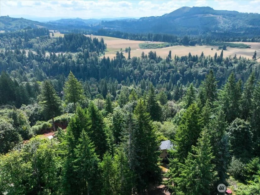 Property photo for 224 Grayling Drive, Woodland photo 31