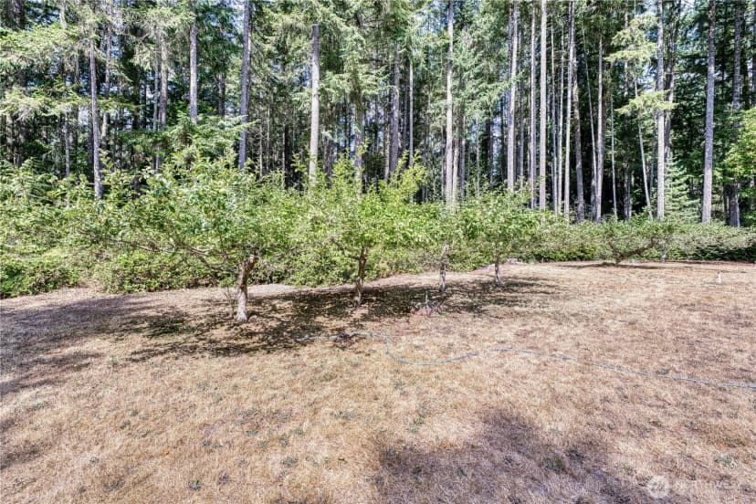 Property photo for 11273 Kiptree Lane Nw, Silverdale photo 35