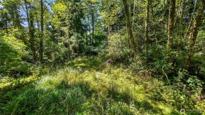 Property photo for 3009 Lamontay Place, Ilwaco photo 23