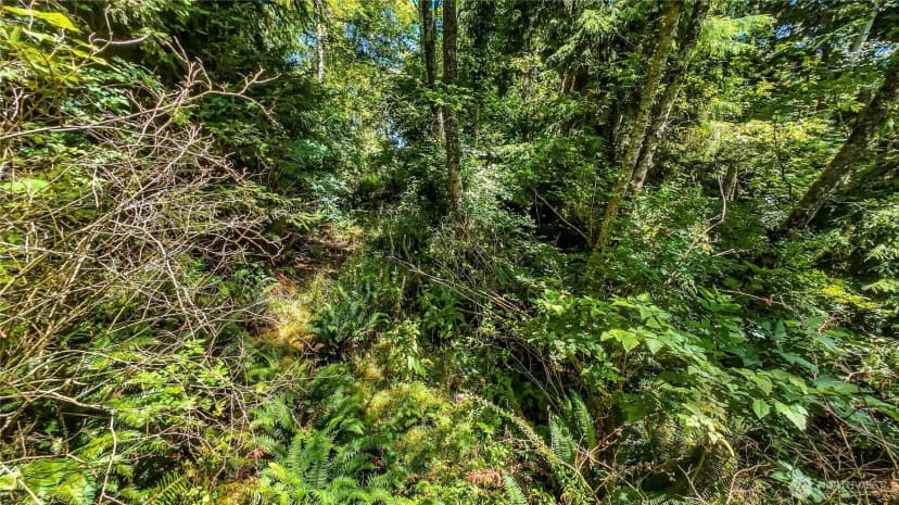 Property photo for 3009 Lamontay Place, Ilwaco photo 21