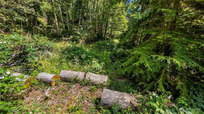 Property photo for 0 Fourth Avenue Sw, Ilwaco photo 16
