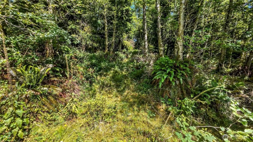 Property photo for 5001 Fourth Avenue Sw, Ilwaco photo 19