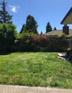 Property photo for 6507 Yakima Avenue, Tacoma photo 33