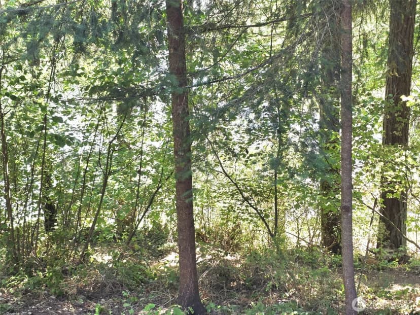 Property photo for 22213 N Clear Lake Boulevard Se, Yelm photo 21