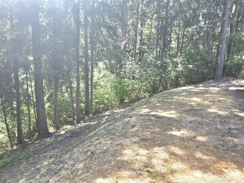 Property photo for 22213 N Clear Lake Boulevard Se, Yelm photo 23