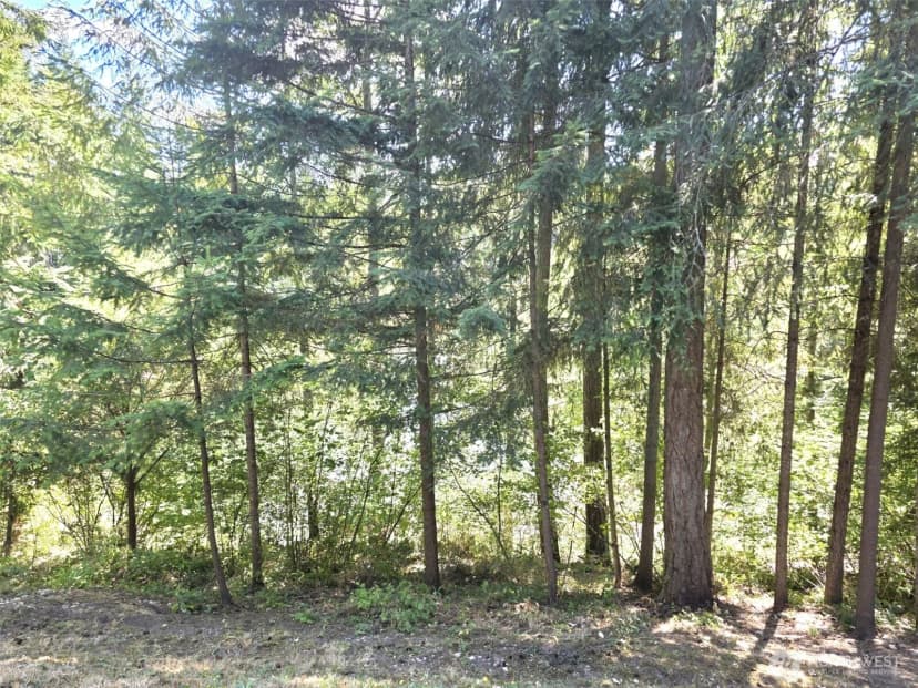 Property photo for 22213 N Clear Lake Boulevard Se, Yelm photo 22