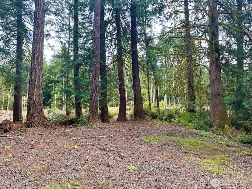 Property photo for 6388 Foley Lane Nw, Seabeck photo 31
