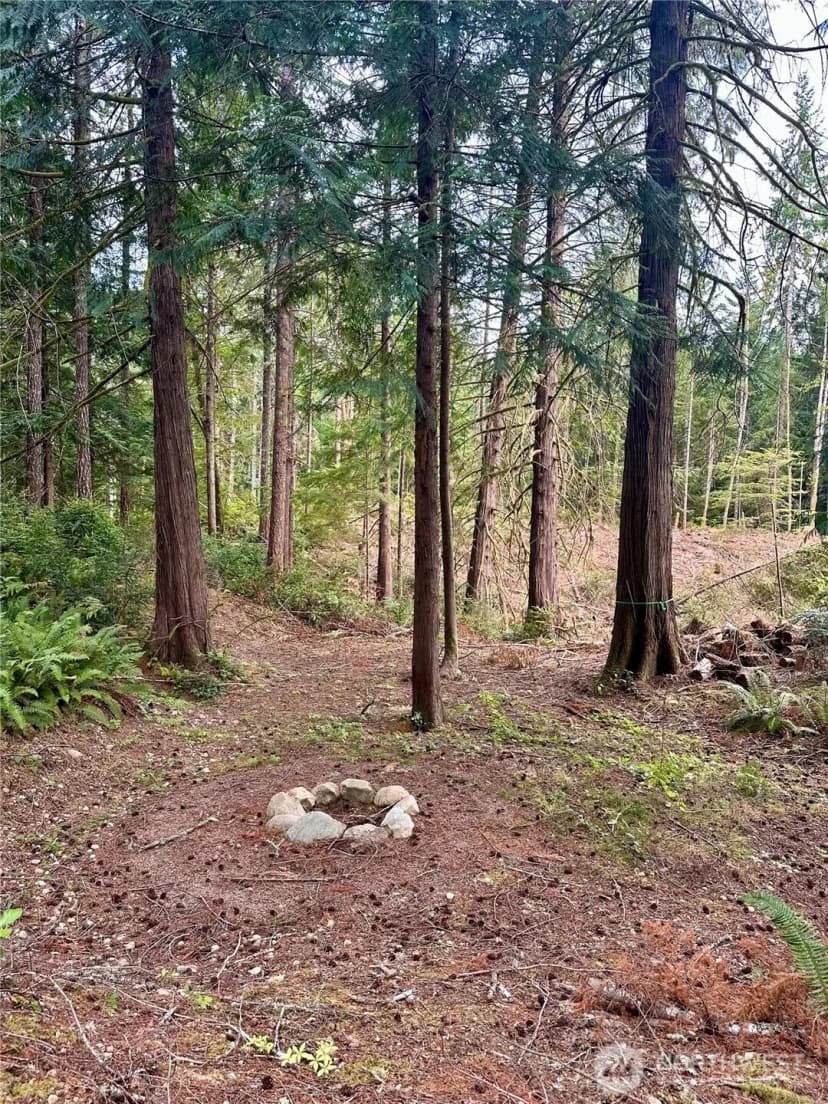 Property photo for 6388 Foley Lane Nw, Seabeck photo 30