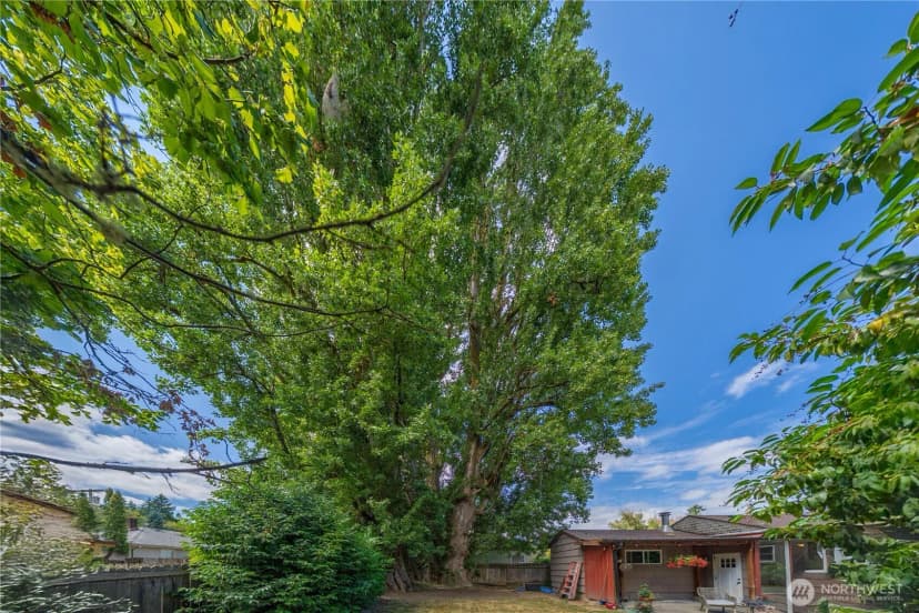 Property photo for 523 17th Avenue Se, Olympia photo 34