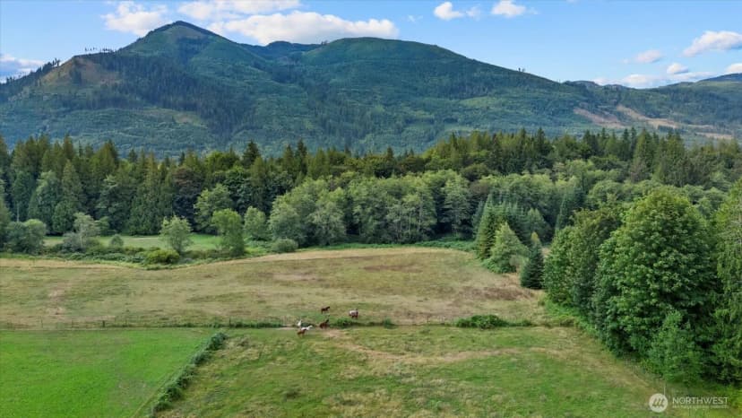 Property photo for 31295 S Skagit Highway, Sedro Woolley photo 39