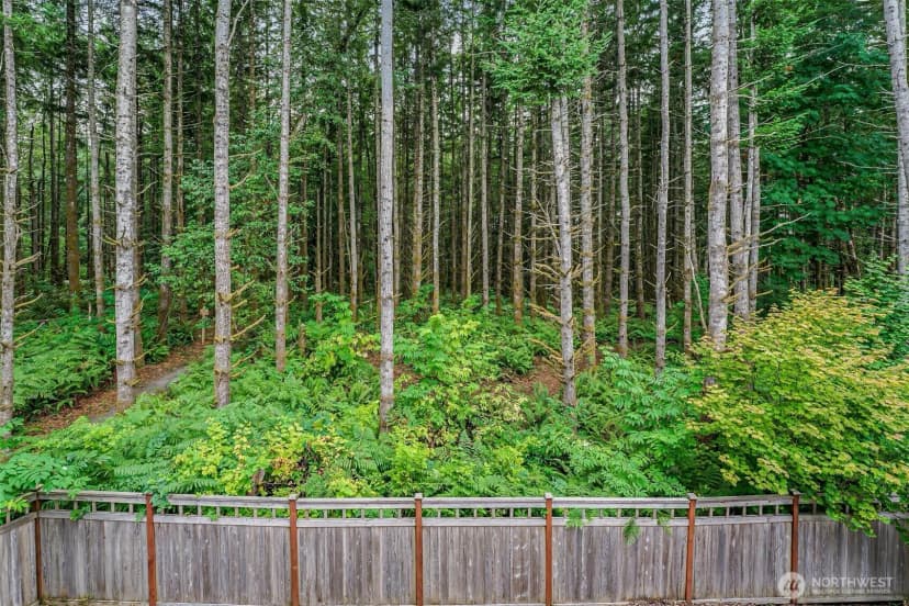 Property photo for 29035 238th Avenue Se, Maple Valley photo 23