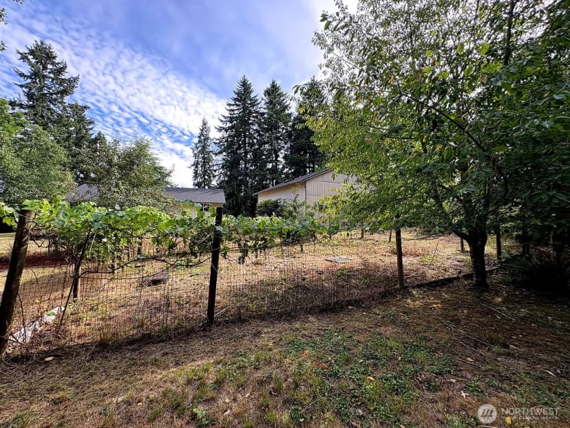 Property photo for 5426 70th Avenue Ne, Olympia photo 39