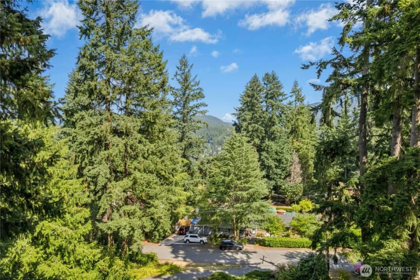 Property photo for 410 Mt. Jupiter Drive Sw, Issaquah photo 35