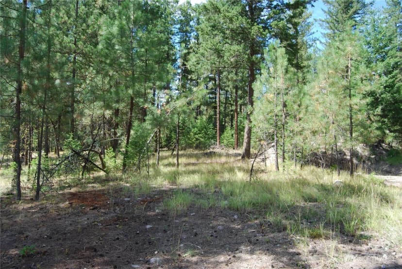 Property photo for 31 Summit Lake Rd, Tonasket photo 26