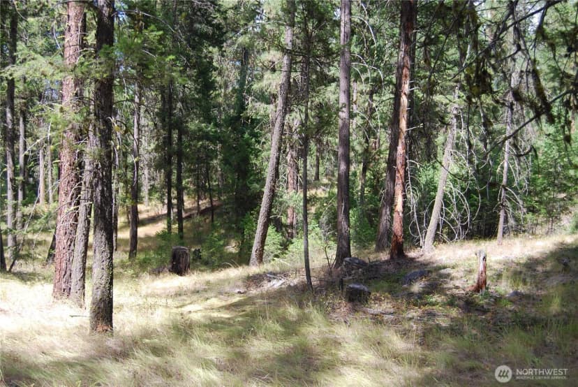 Property photo for 31 Summit Lake Rd, Tonasket photo 35
