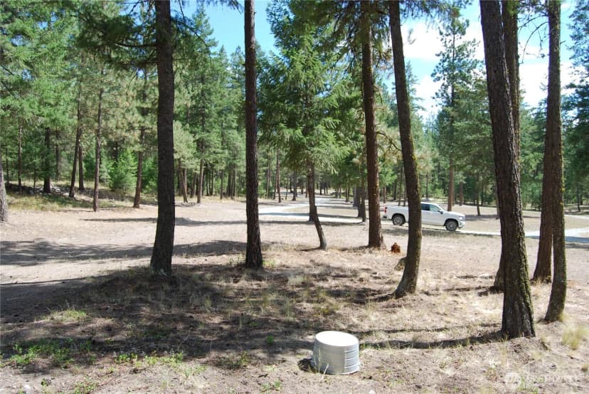 Property photo for 31 Summit Lake Rd, Tonasket photo 27