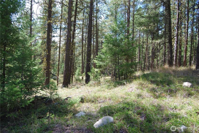 Property photo for 31 Summit Lake Rd, Tonasket photo 32