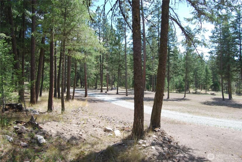 Property photo for 31 Summit Lake Rd, Tonasket photo 29