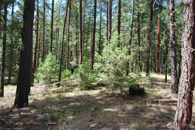 Property photo for 31 Summit Lake Rd, Tonasket photo 33