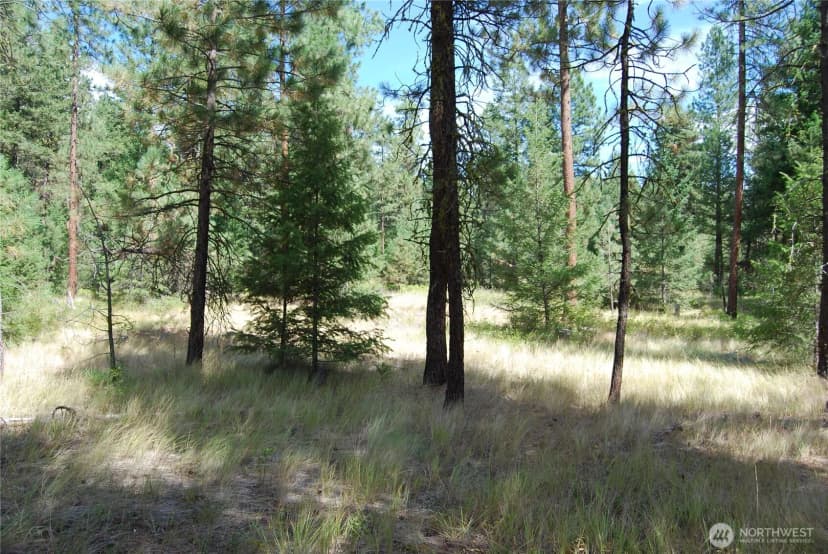 Property photo for 31 Summit Lake Rd, Tonasket photo 28