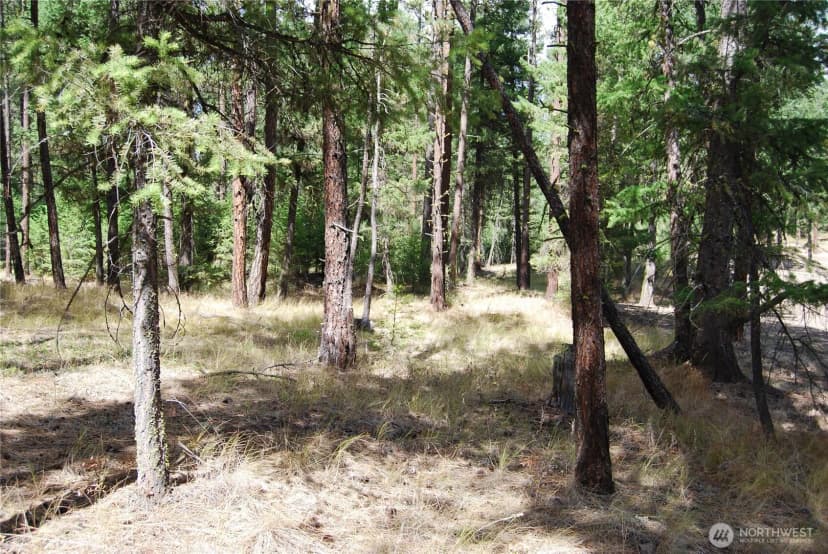 Property photo for 31 Summit Lake Rd, Tonasket photo 34