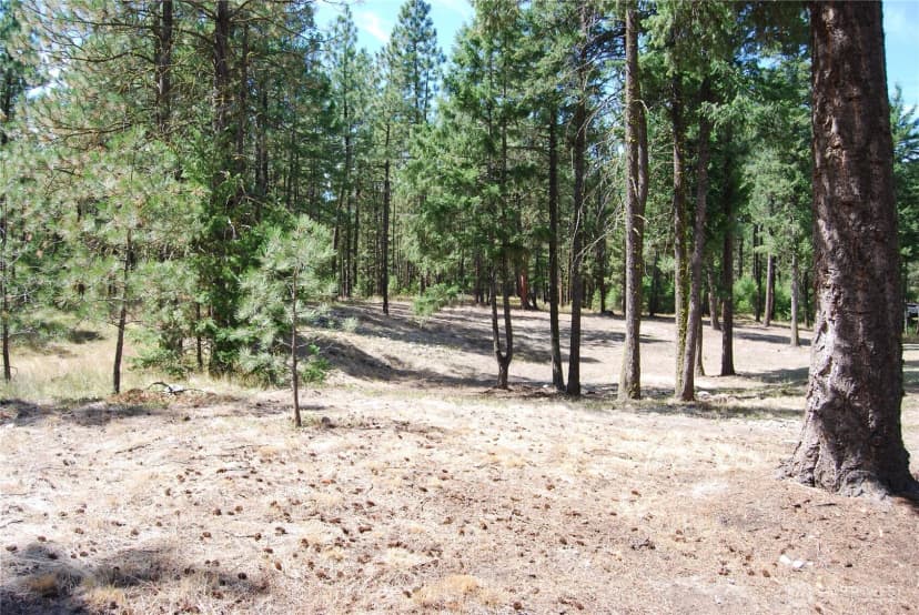 Property photo for 31 Summit Lake Rd, Tonasket photo 31