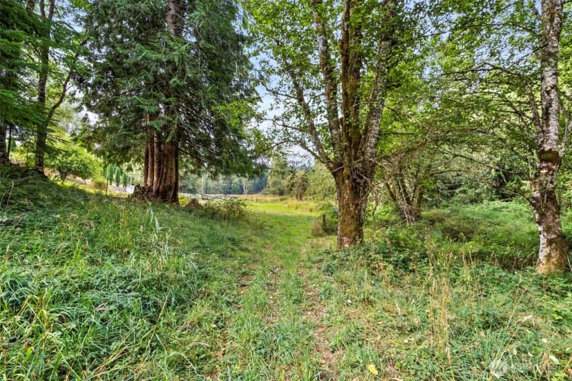 Property photo for 886 Salmon Creek Road #21, Mossyrock photo 37