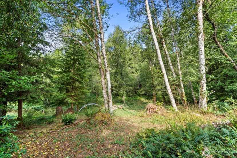 Property photo for 886 Salmon Creek Road #21, Mossyrock photo 36