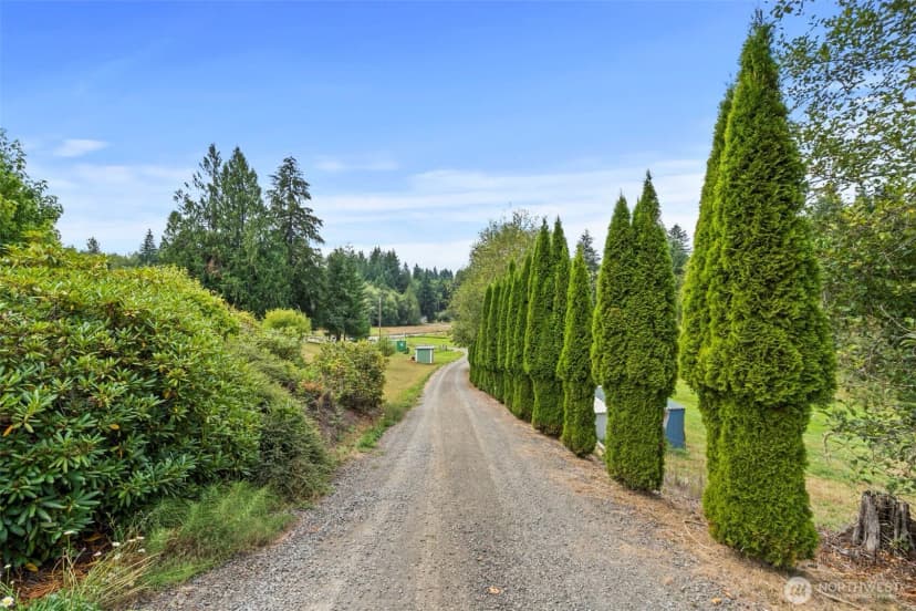 Property photo for 886 Salmon Creek Road #21, Mossyrock photo 5