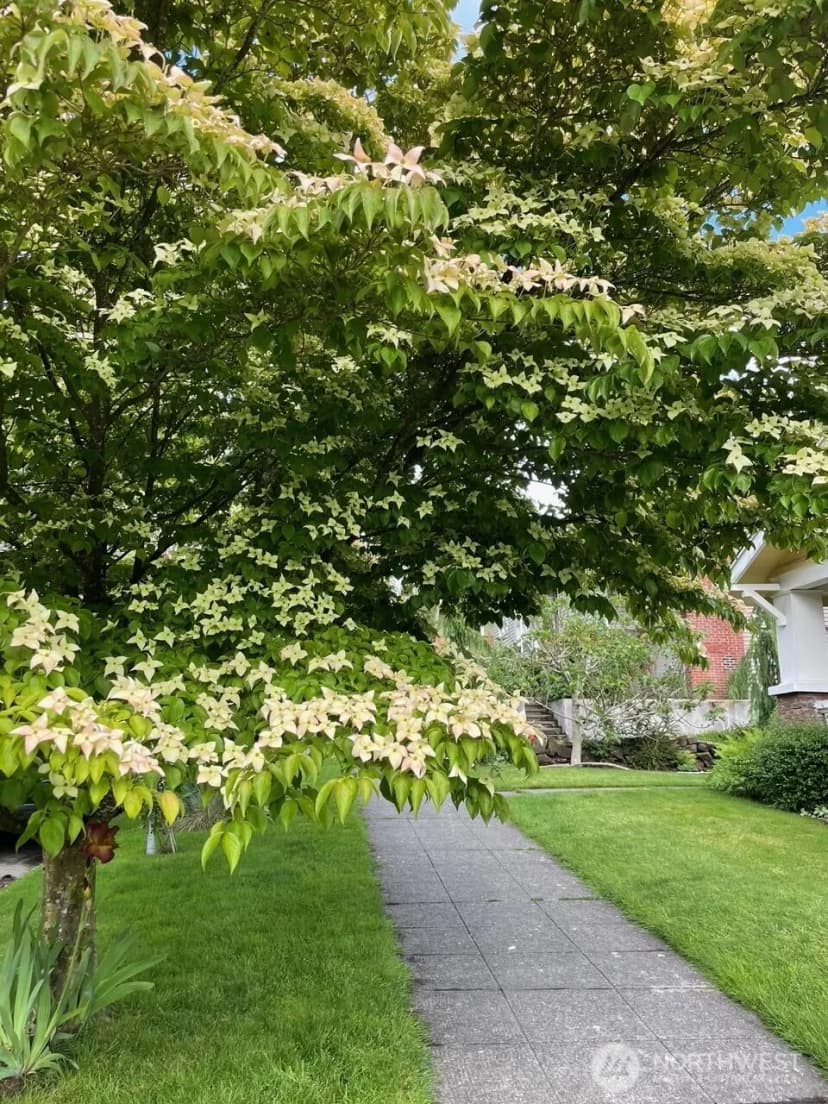 Property photo for 1603 Ne 70th Street, Seattle photo 35