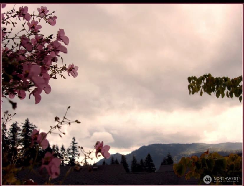 Property photo for 280 Nw Newport Way #b14, Issaquah photo 27
