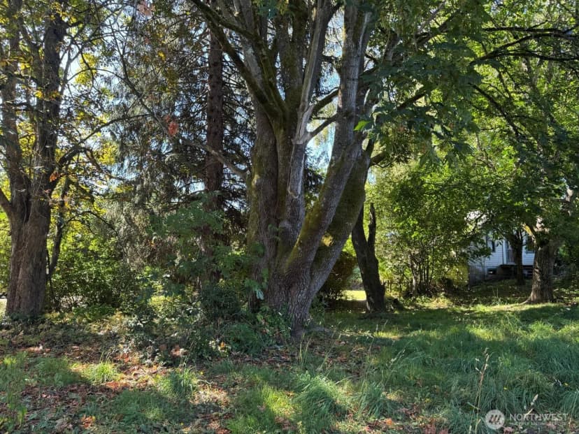 Property photo for 6143 Vista Drive, Ferndale photo 22