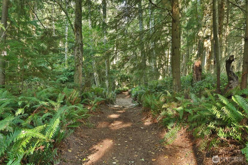 Property photo for 381 Lake Hancock Drive, Coupeville photo 31