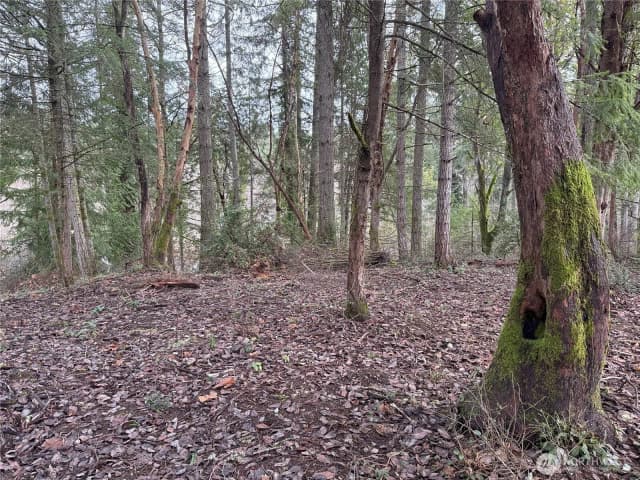 Property photo for 7719 Rosedale Street Nw, Gig Harbor photo 3