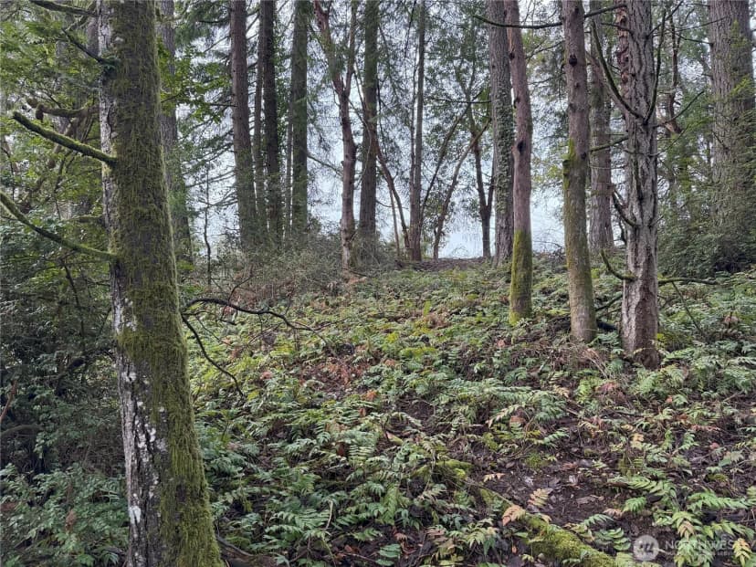 Property photo for 7719 Rosedale Street Nw, Gig Harbor