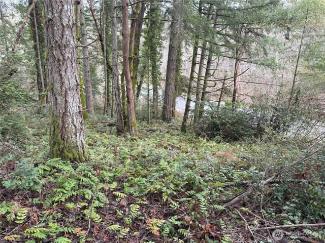 Property photo for 7719 Rosedale Street Nw, Gig Harbor photo 4