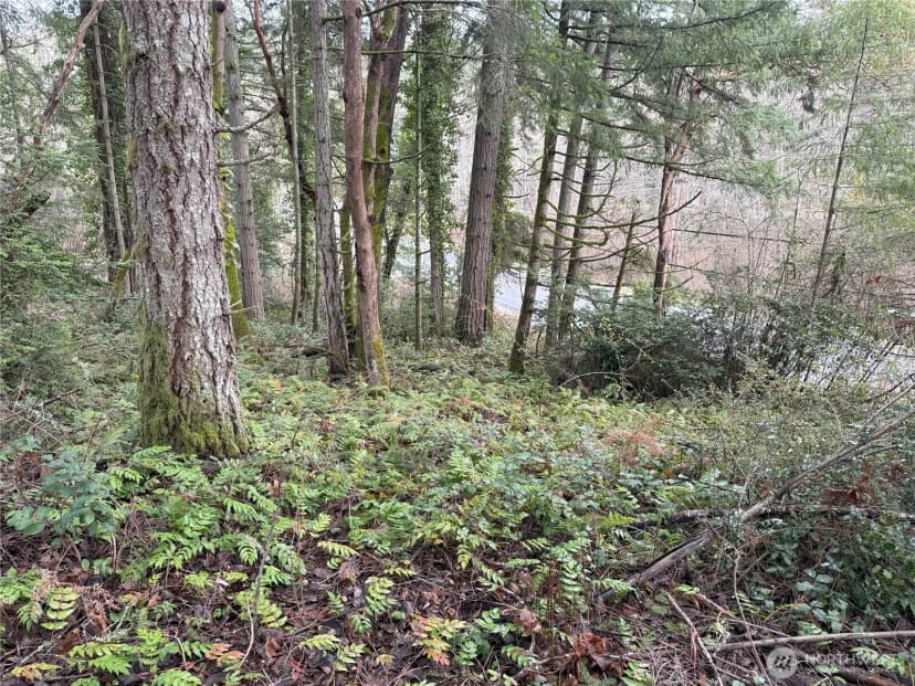 Property photo for 7719 Rosedale Street Nw, Gig Harbor photo 4
