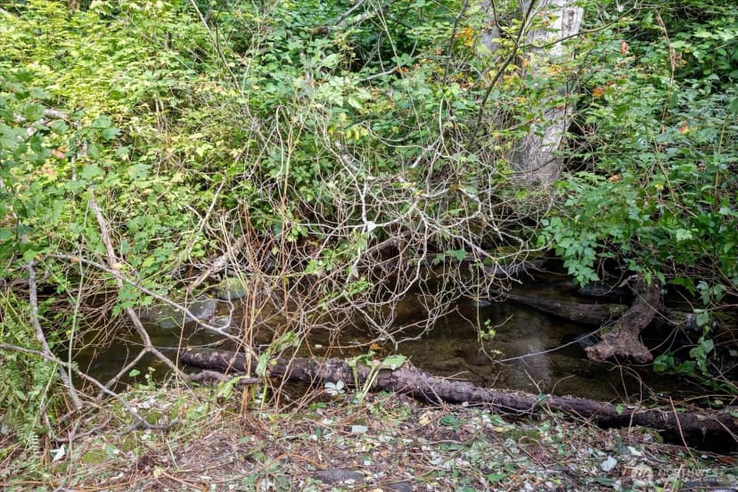 Property photo for 16001 Goldbar Boulevard, Gold Bar photo 36