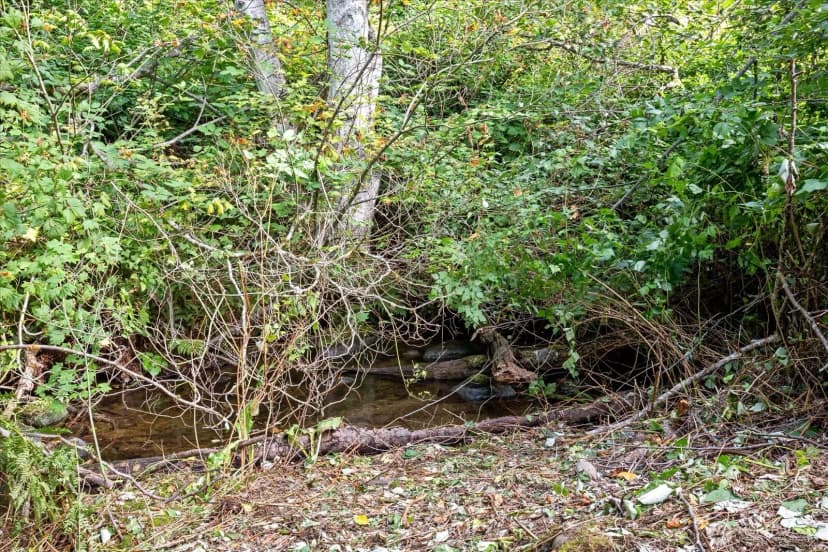 Property photo for 16001 Goldbar Boulevard, Gold Bar photo 35