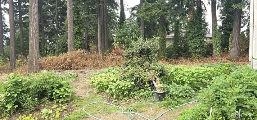 Property photo for 1816 S 312th Street, Federal Way photo 8