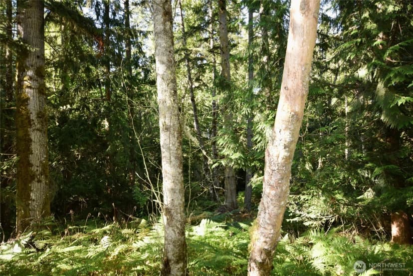 Property photo for 1694 S Bagley Creek Road, Port Angeles photo 30