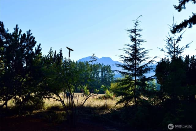Property photo for 1694 S Bagley Creek Road, Port Angeles photo 4