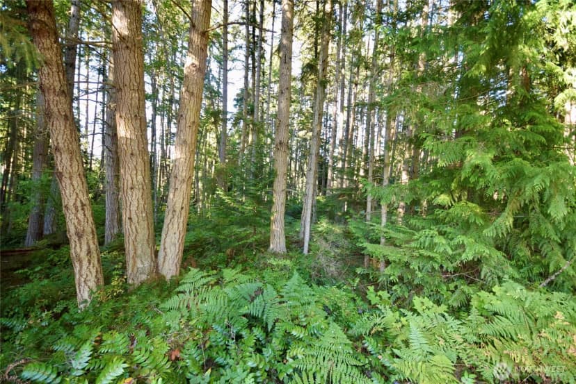 Property photo for 1694 S Bagley Creek Road, Port Angeles photo 29