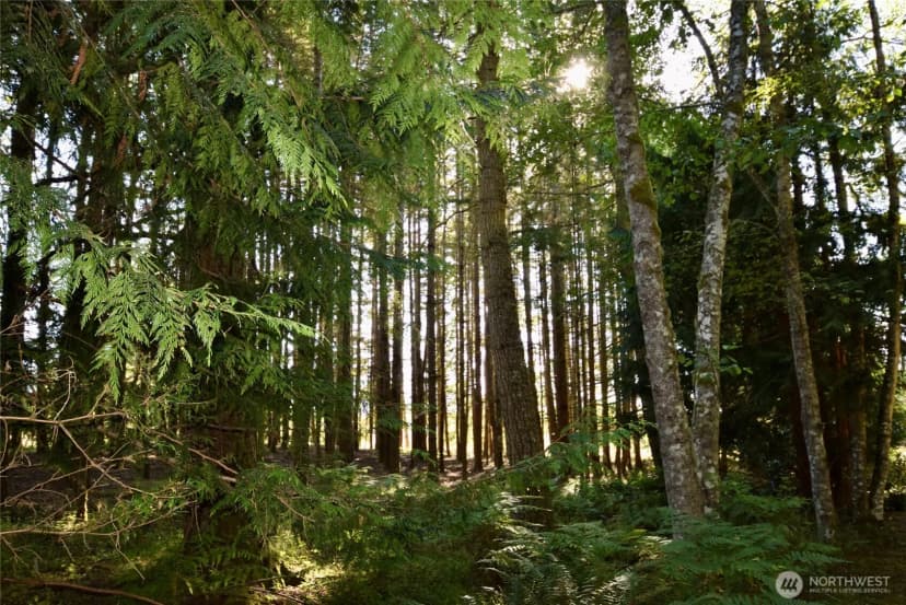 Property photo for 1694 S Bagley Creek Road, Port Angeles photo 28