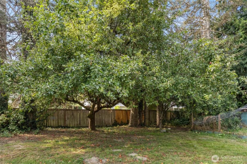 Property photo for 909 Fir Street Ne, Olympia photo 38