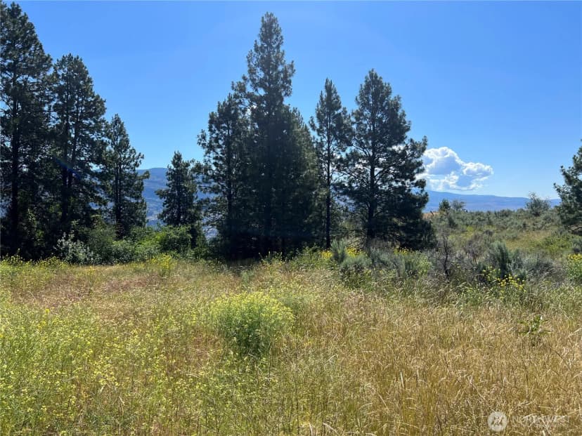 Property photo for 113 Eagles Bluff Road, Oroville photo 28