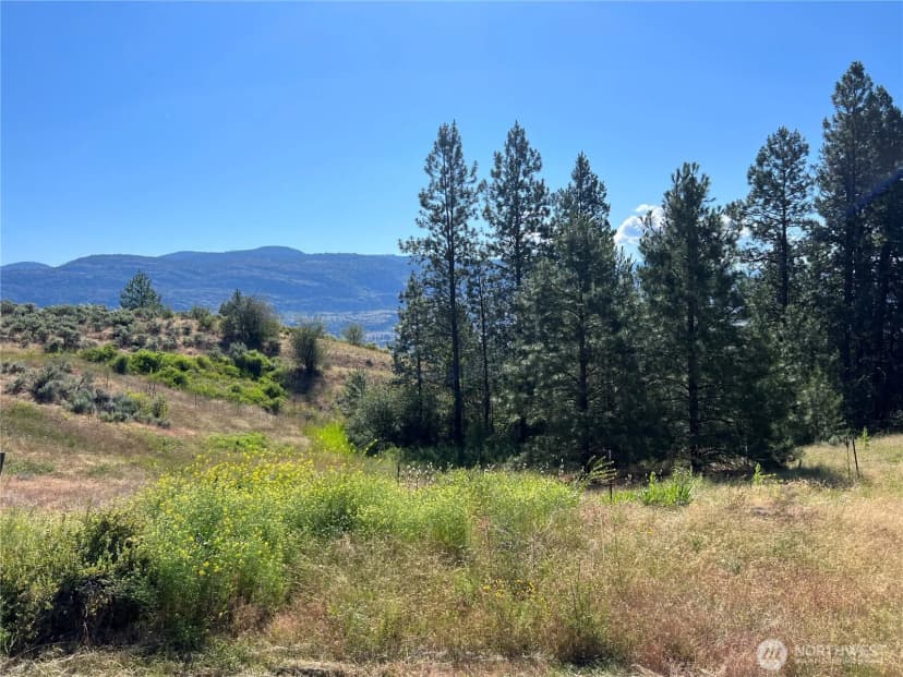 Property photo for 113 Eagles Bluff Road, Oroville photo 34